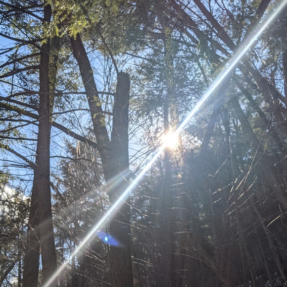 Meet your Posher, Xiomara - Picture 1 of 1